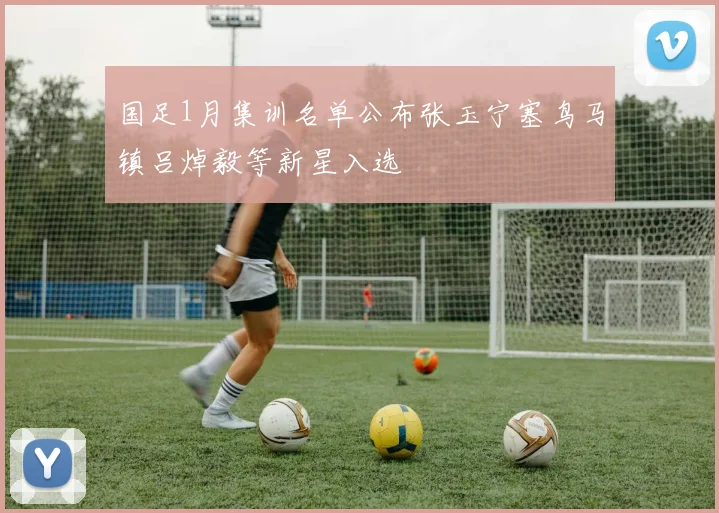 国足1月集训名单公布张玉宁塞鸟马镇吕焯毅等新星入选